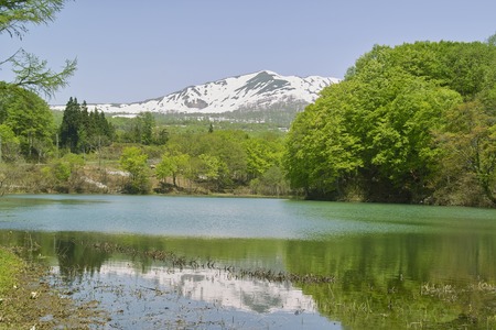 Goshiki-NUMAの写真素材