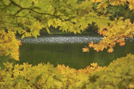 Suganumaの写真素材