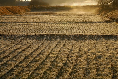 Rural landscapeの写真素材
