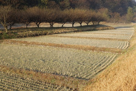 Rural landscapeの写真素材