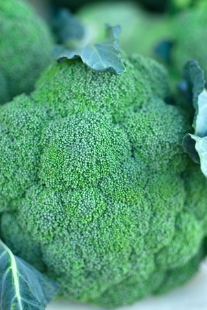 Broccoliの写真素材