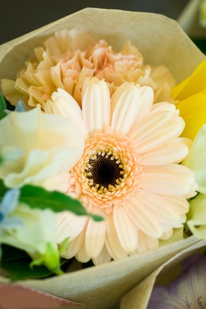 Mini backeの写真素材