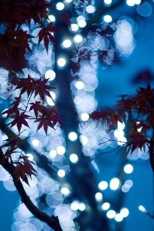 Illumination imageの写真素材