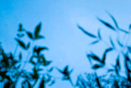 Sky imageの写真素材