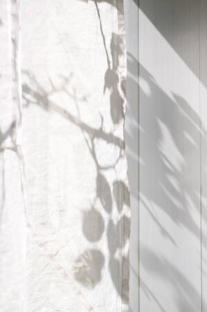 The shadow of the plant reflected in the curtainの写真素材