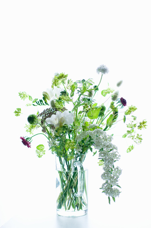 Naughty vase of freesiaの写真素材