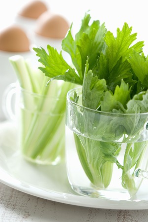 Celeryの写真素材