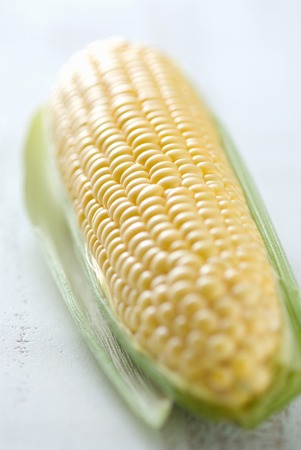 Cornの写真素材