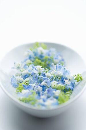 Blue flowers