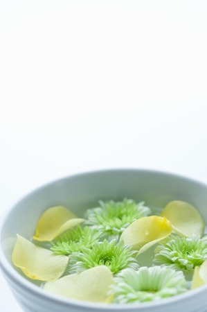 Petals floated on the waterの写真素材