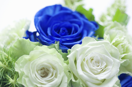 Blue Bouquets of rosesの写真素材