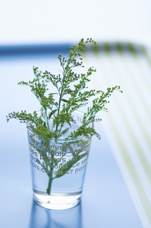 Soridako go to grassの写真素材