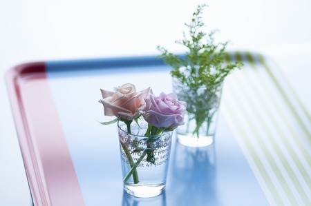 Soridako and roses that you go to grassの写真素材