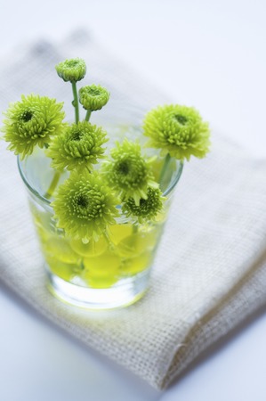 Kogiku arranged in glassの写真素材