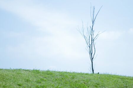 Autumn bankの写真素材