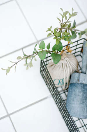 Shop imagesの写真素材