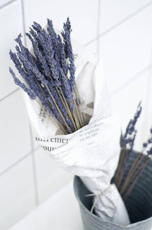 Shop imagesの写真素材