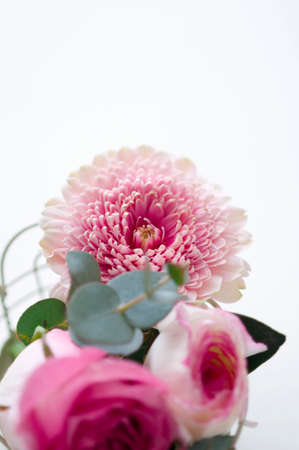 Pink flowerの写真素材