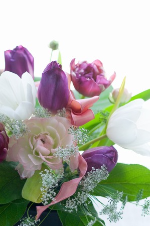 Tulips and Ranunculusの写真素材