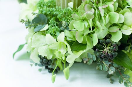 Green Arrangementの写真素材