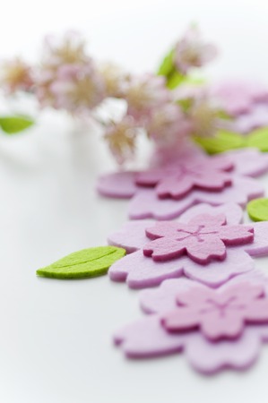 Cherry imageの写真素材