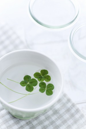 Four leaf clover.