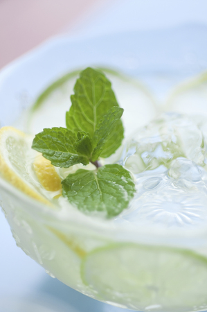 Lemon limeの写真素材