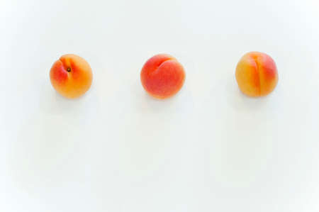 Apricotの写真素材