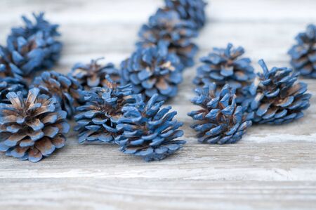 Pine conesの写真素材