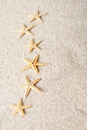 Sand shellの写真素材