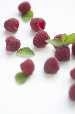 Raspberry and mintの写真素材