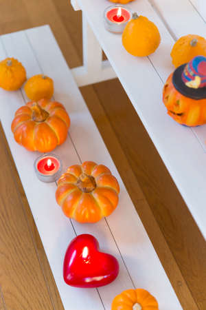 Halloween Pumpkinの写真素材