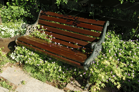 Benchの写真素材