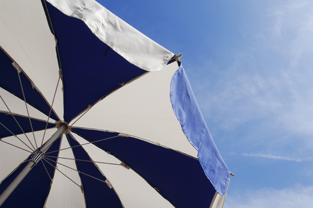 Umbrellasの写真素材