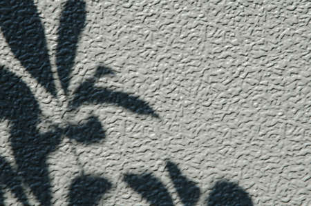 Shadow of leavesの写真素材