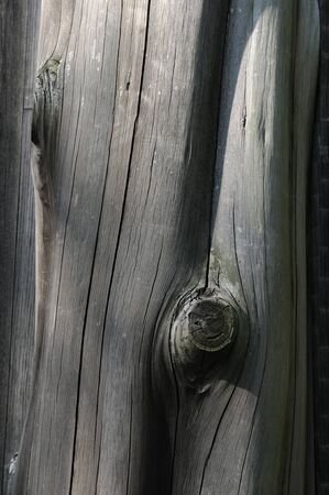 Wood grainの写真素材