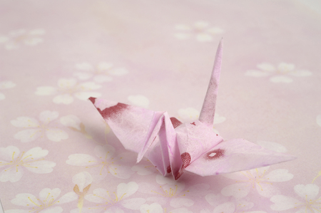 Crane.の写真素材