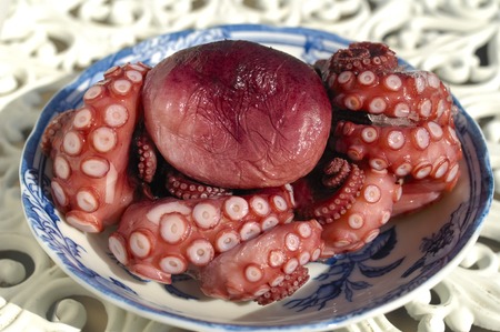 Octopusの写真素材