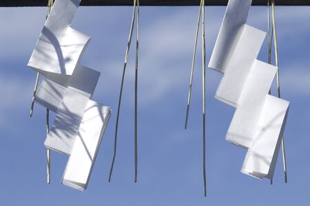 Shimekazariの写真素材