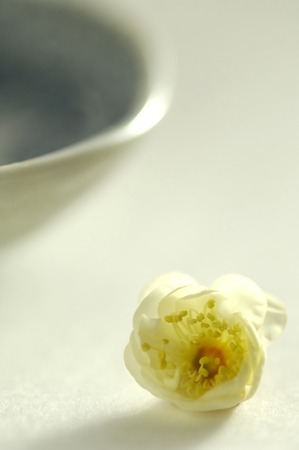 Cup imageの写真素材