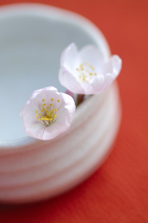 Cherry imageの写真素材