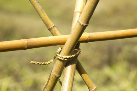 Bamboo Hasa-gakeの写真素材