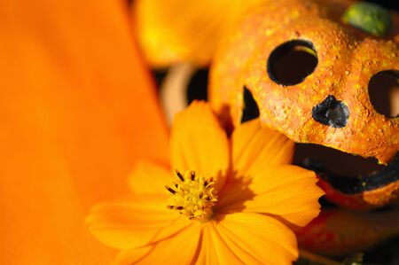 Jack-o-Lanternの写真素材