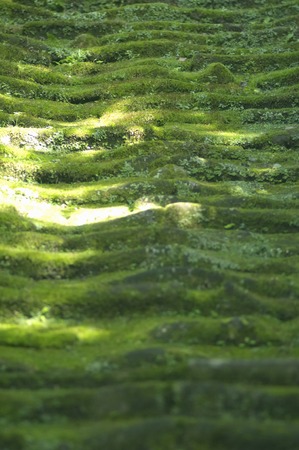 Stone stepsの写真素材