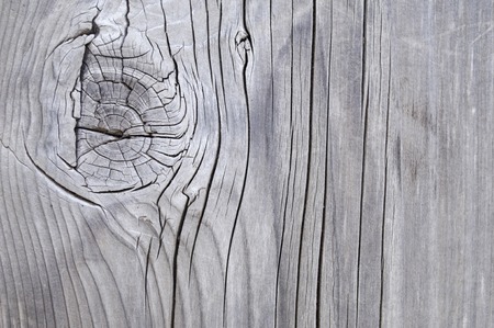 Milestoneの写真素材