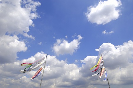 Carp streamerの写真素材