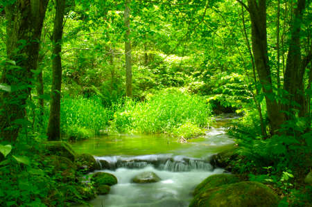 Mountain streamの写真素材