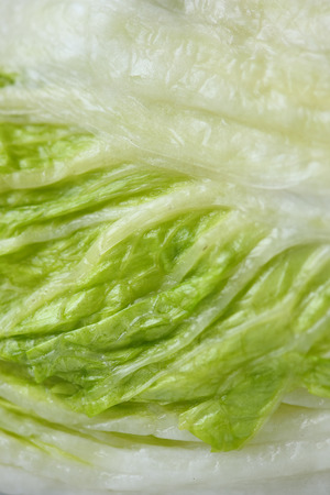 Pickled Chinese cabbageの写真素材