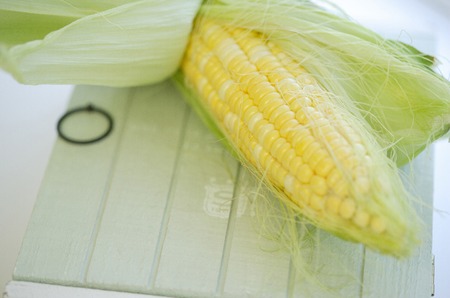 Cornの写真素材