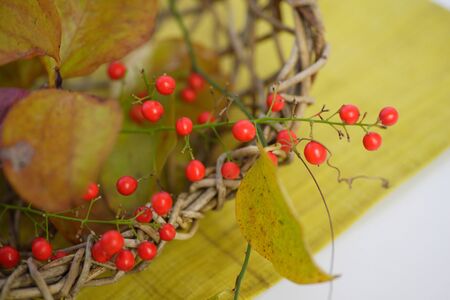 The fall of Japanの写真素材